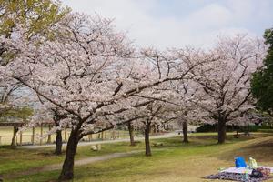 八王子公園1