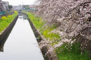 鴻沼川南与野駅付近