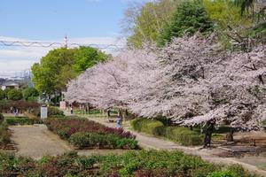 与野公園2