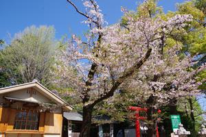 与野公園6