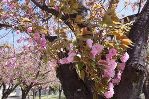 上落合公園6