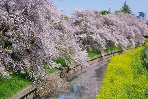鴻沼川南与野駅付近1