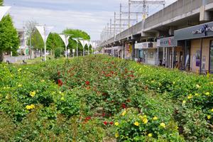与野本町駅前公園9