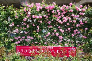 駅前公園1