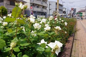 駅前公園2