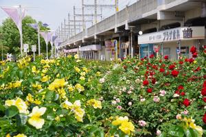駅前公園8