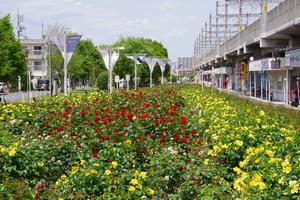 駅前公園9