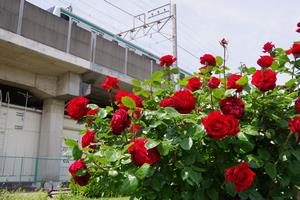 駅東口1