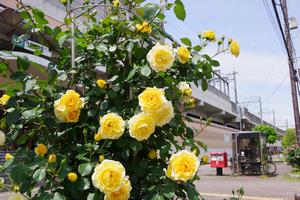 駅東口4