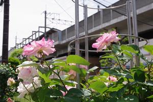 駅東口7