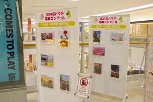 イオン与野2