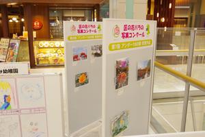 イオン与野3
