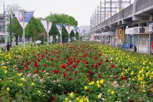 駅前公園9