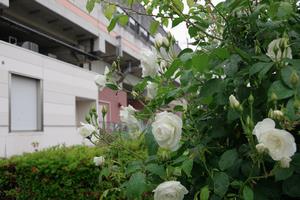 駅東口4