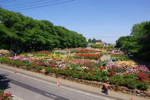 与野公園1