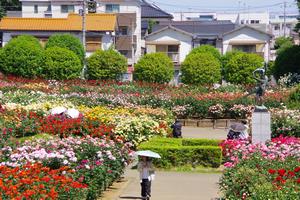 与野公園2
