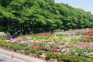 与野公園3
