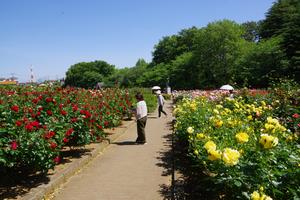 与野公園8