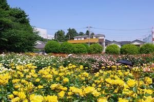 与野公園15