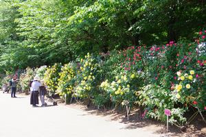 与野公園20