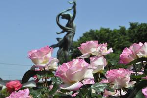 与野公園25