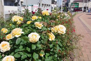 駅前公園2