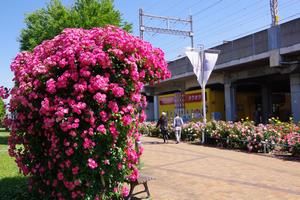 駅前公園7