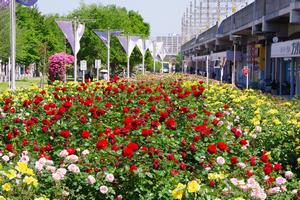 駅前公園9