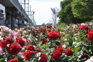 駅前公園10
