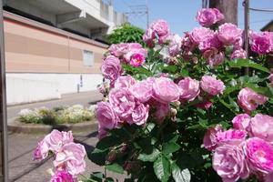 駅東口3