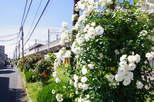 駅東口9