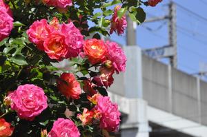 駅東口11