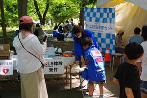 ばらまつり18