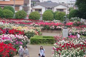 与野公園2