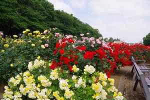 与野公園5