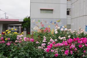 区役所周辺4