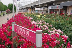 駅前公園1