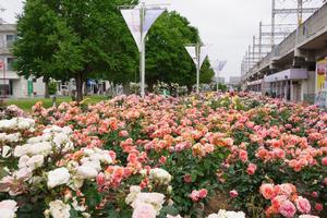 駅前公園3