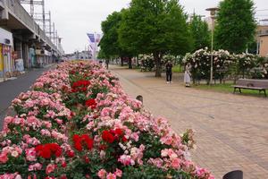 駅前公園6