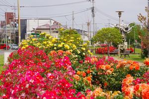 駅前公園8
