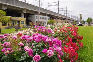 駅前公園11