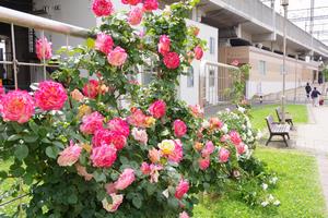 駅前公園12