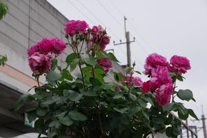駅東口5