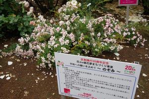 与野公園17