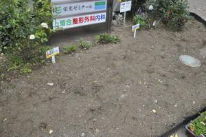 花deびゅうサイト1