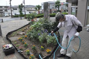 花deびゅうサイト9
