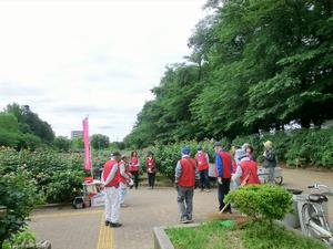 バラサポ与野公園剪定1