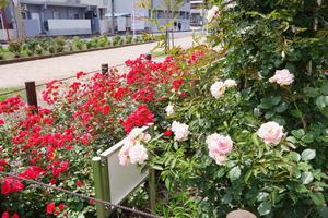 駅前公園2