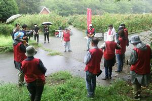 バラサポ与野公園剪定1
