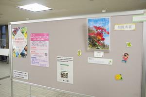 バラコン写真展示1